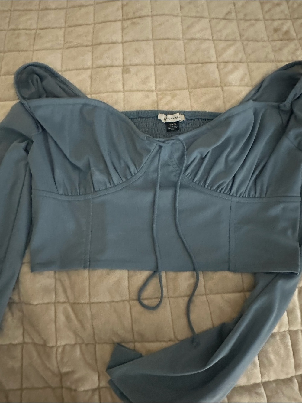 American Eagle Outfitters Dusty Blue Long Sleeve Cropped Bustier Top